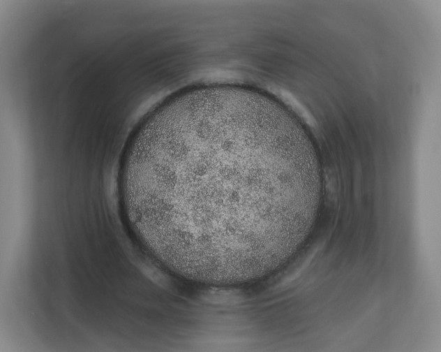 X0000110760487200906291031