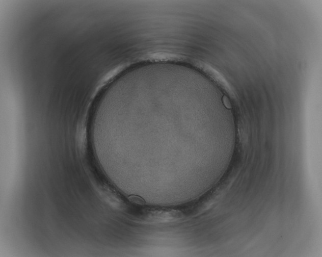 X0000110760488200906291031