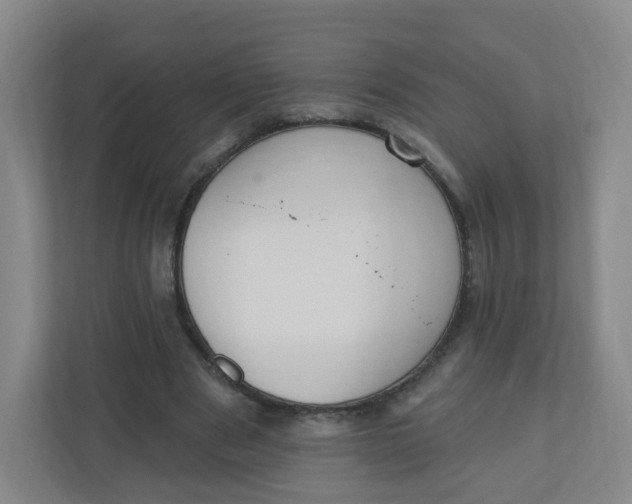 X0000110760489200906291031