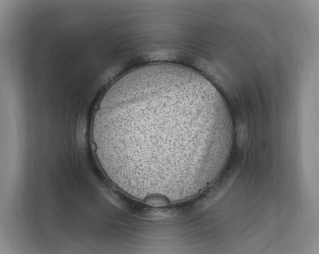 X0000110760490200906291031