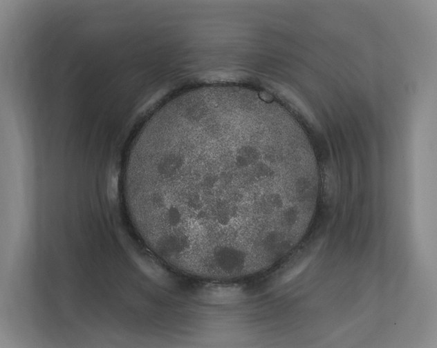 X0000110760491200906291031