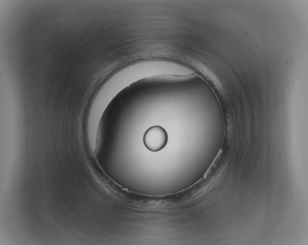X0000110760493200906291031