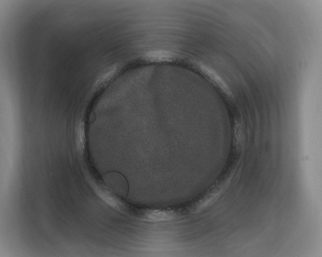 X0000110760494200906291031