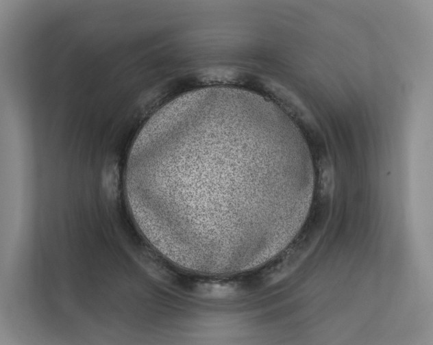 X0000110760498200906291031