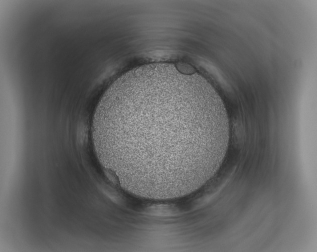 X0000110760499200906291031