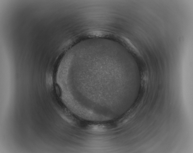 X0000110760500200906291031