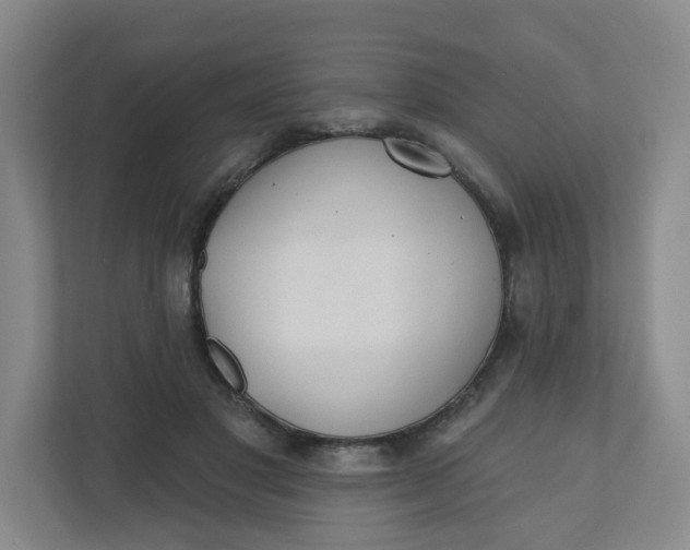 X0000110760501200906291031