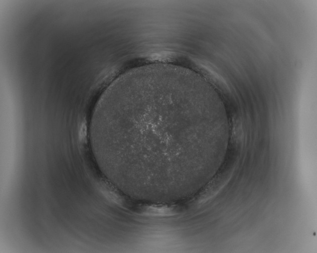 X0000110760502200906291031