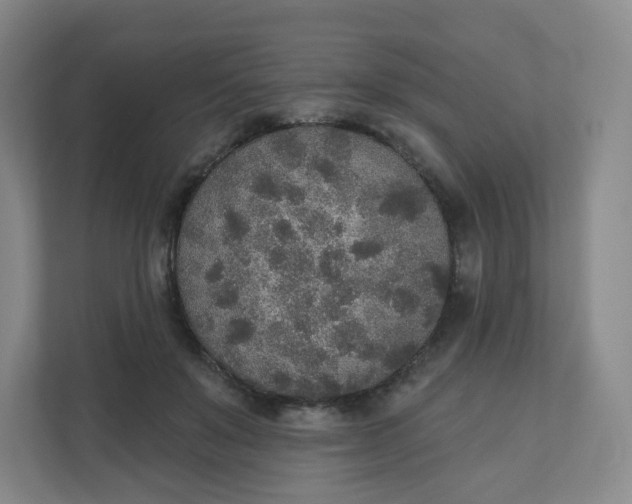 X0000110760503200906291031
