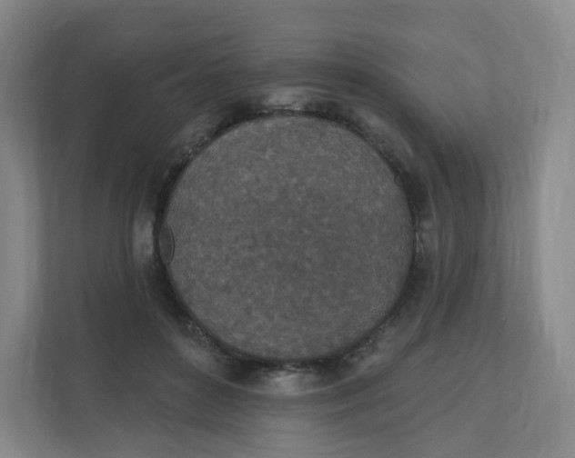 X0000110760504200906291031