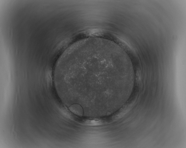 X0000110760506200906291031