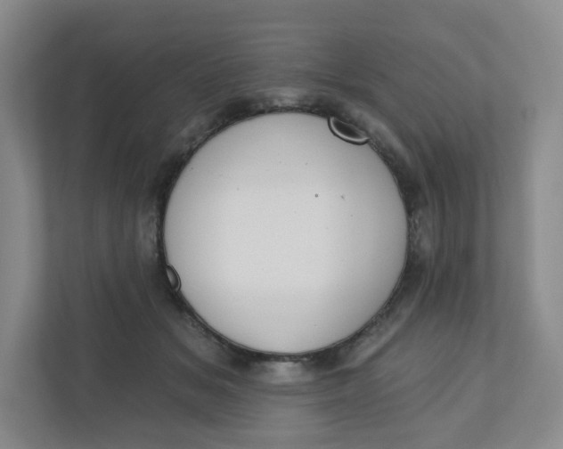 X0000110760509200906291031