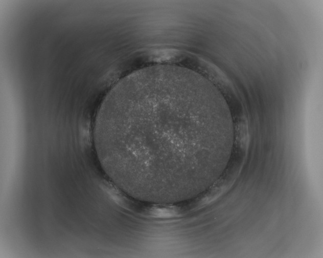 X0000110760510200906291031