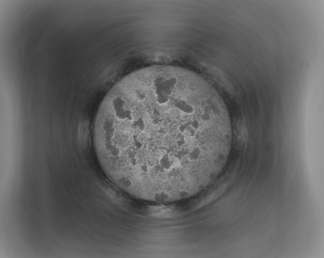 X0000110760511200906291031