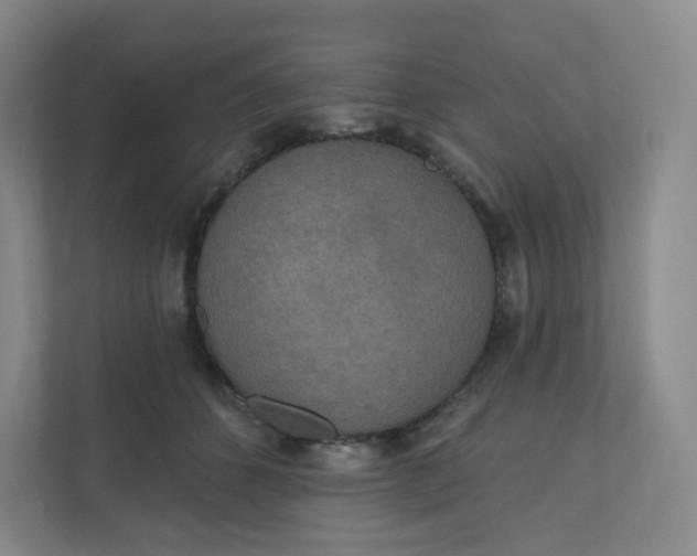 X0000110760512200906291031