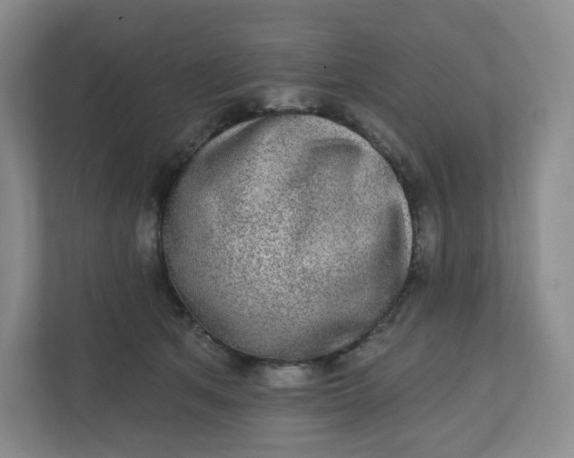 X0000110760513200906291031