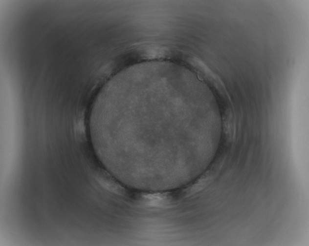 X0000110760516200906291031