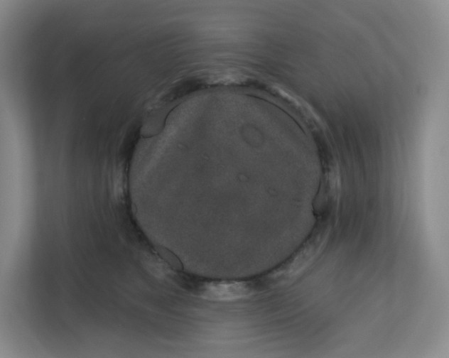 X0000110760517200906291031