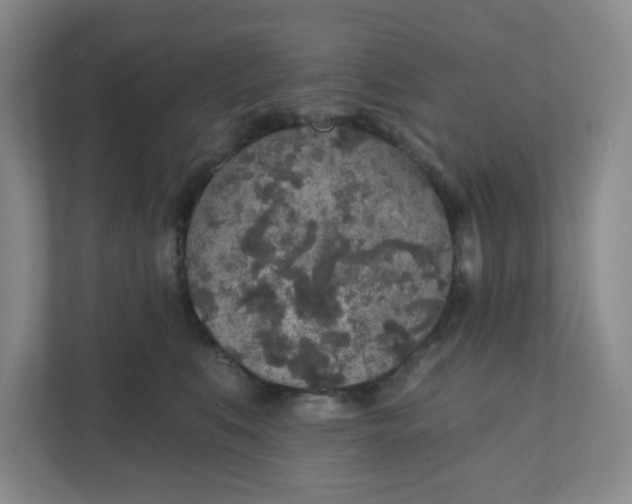 X0000110760519200906291031