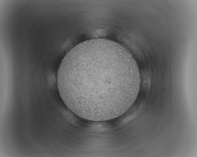 X0000110760523200906291030