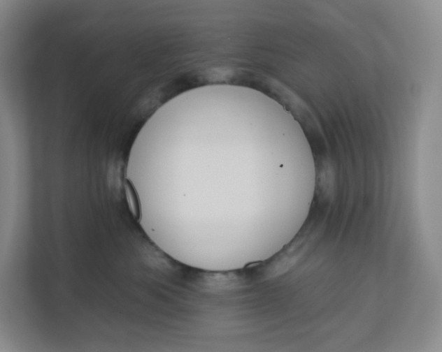X0000110760525200906291030