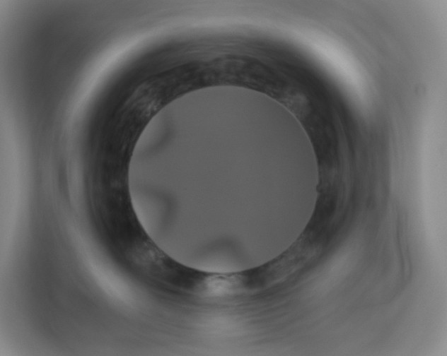 X0000110760526200906291030