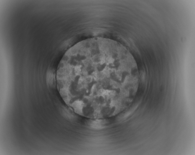 X0000110760527200906291030