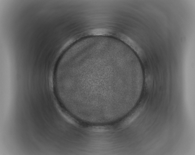 X0000110760530200906291030