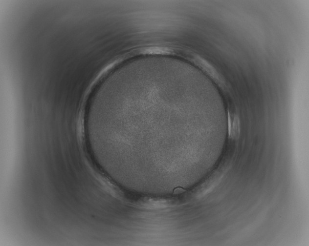 X0000110760531200906291030