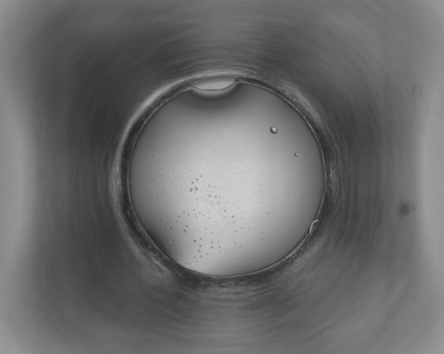 X0000110760532200906291030
