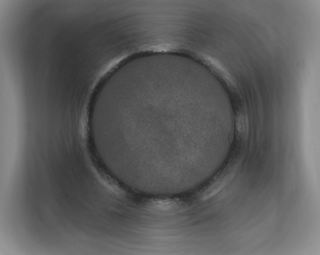 X0000110760540200906291030