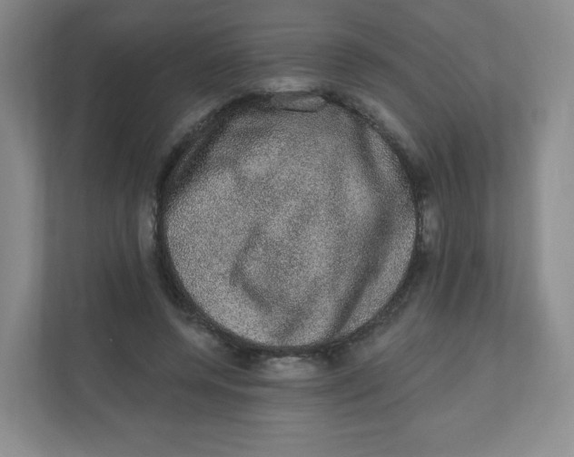 X0000110760544200906291030