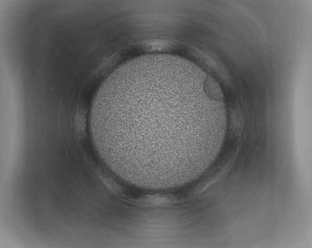 X0000110760545200906291030