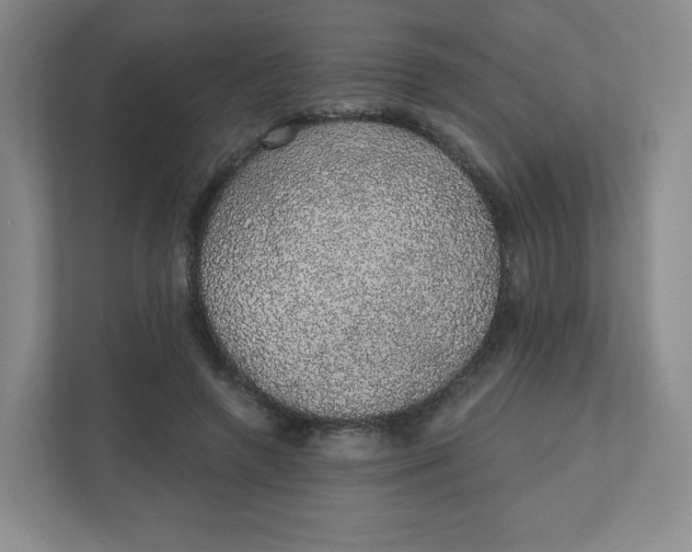 X0000110760546200906291030