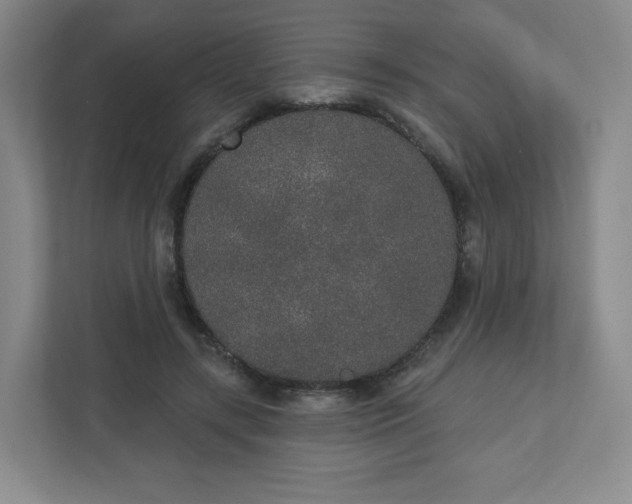 X0000110760547200906291030