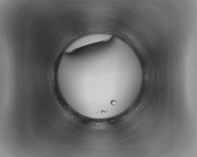 X0000110760548200906291030