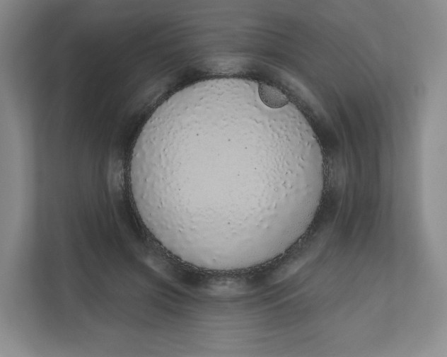 X0000110760549200906291030