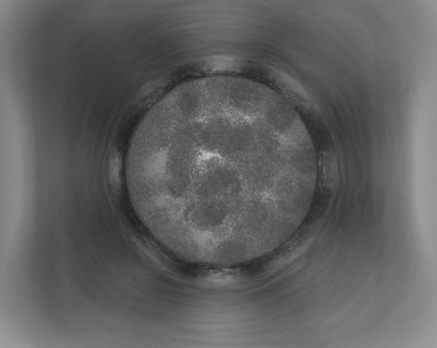 X0000110760550200906291030