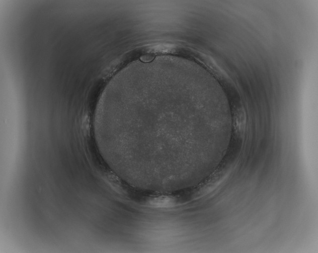 X0000110760551200906291030