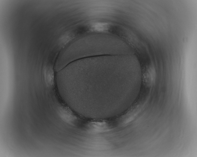 X0000110760552200906291030