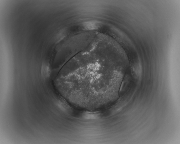 X0000110760556200906291030