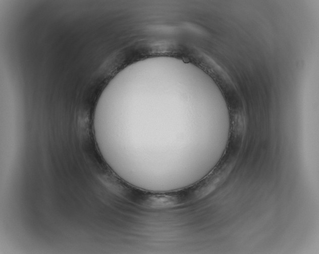 X0000110760557200906291030