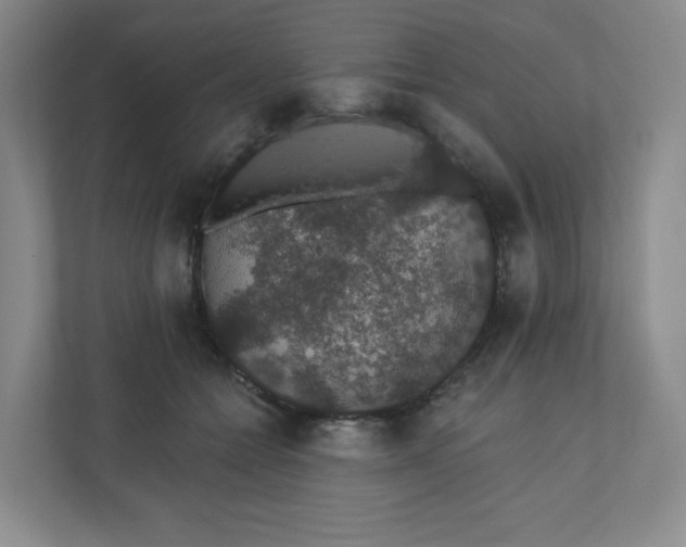 X0000110760558200906291030