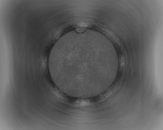 X0000110760559200906291030