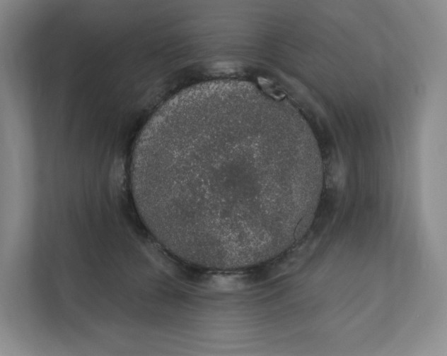 X0000110760560200906291030