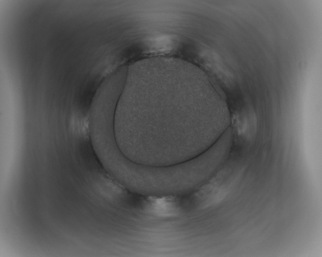 X0000110760564200906291030