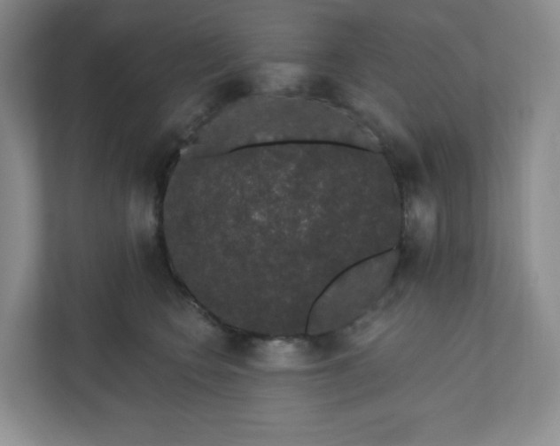 X0000110760566200906291030