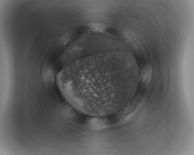 X0000110760568200906291030
