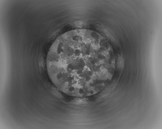 X0000110760569200906291030