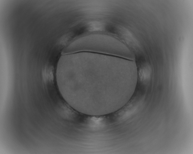 X0000110760570200906291030